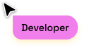 Developer tag